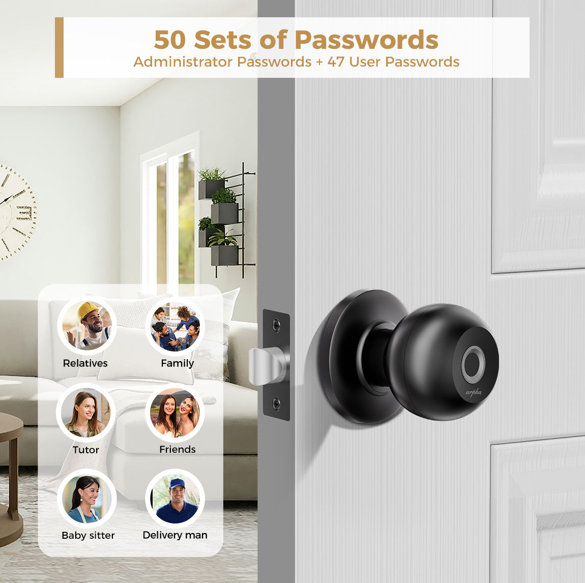 LNDU Smart Fingerprint Door Knob D258 with APP Control and Removable Batteries